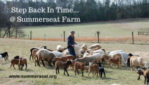 summerseat Summerseat Farm, Inc.